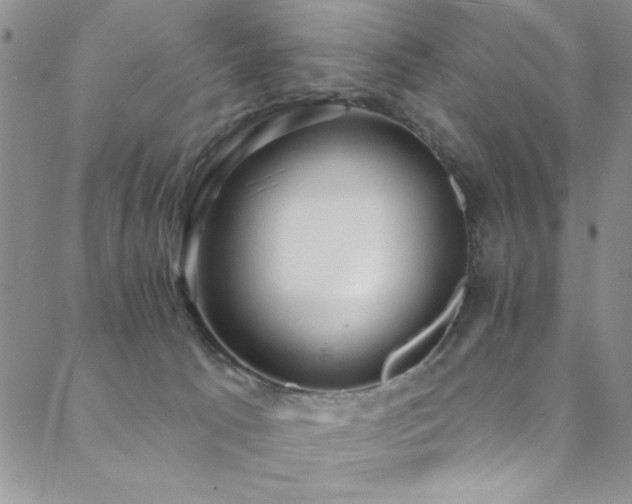 X0000088880033200706081252