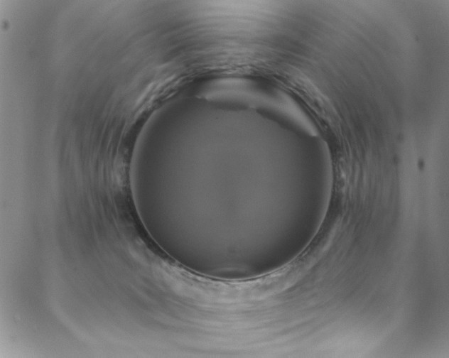 X0000088880035200706081252