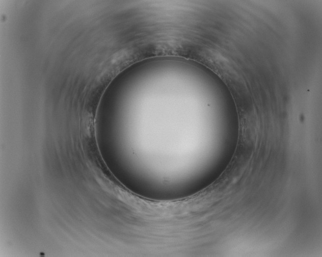 X0000088880038200706081252