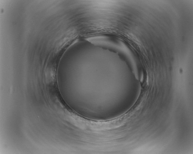 X0000088880039200706081252