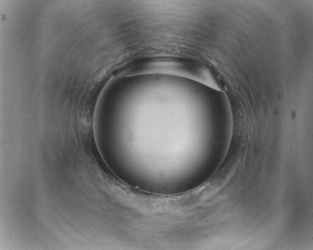 X0000088880040200706081252