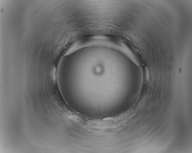 X0000088880041200706081252