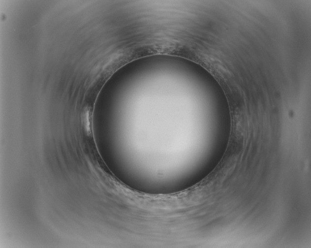 X0000088880042200706081252