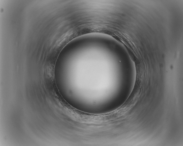 X0000088880044200706081252