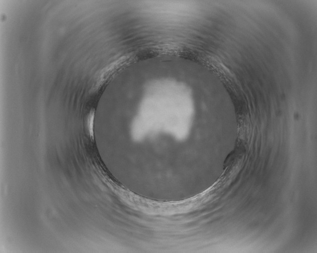 X0000088880047200706081252