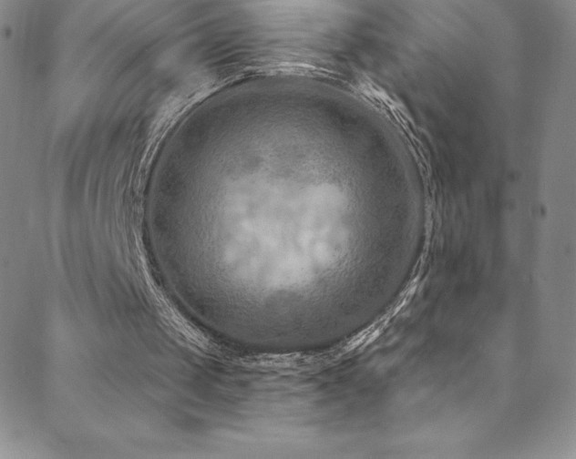 X0000088880049200706081251