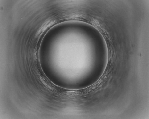 X0000088880050200706081251