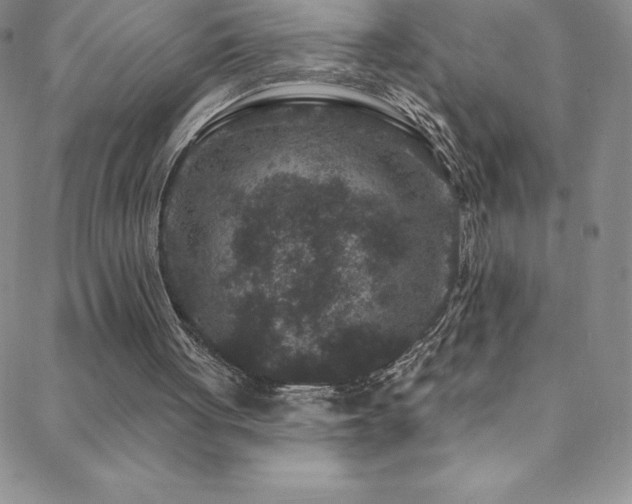 X0000088880051200706081251