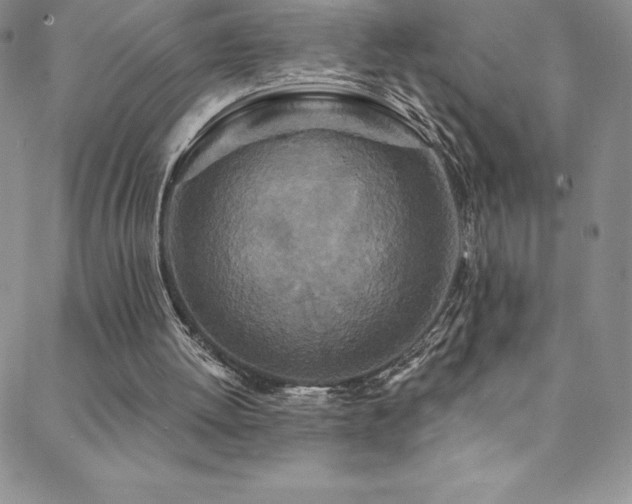 X0000088880052200706081251