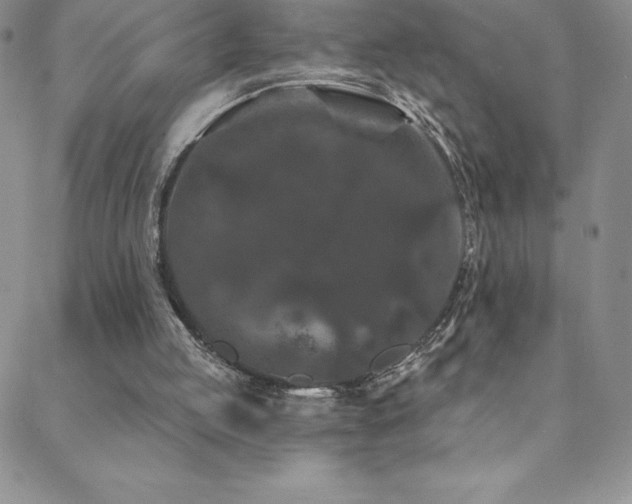 X0000088880053200706081251