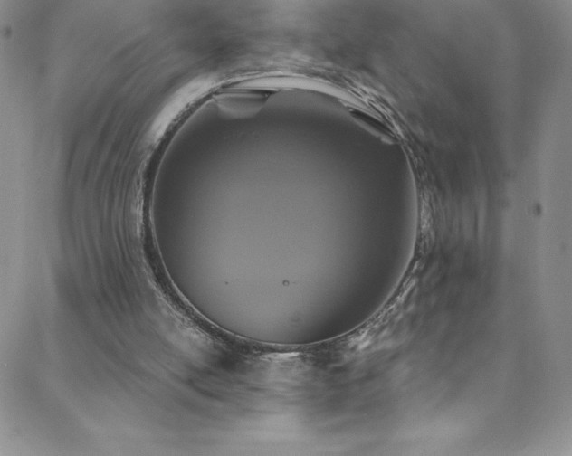 X0000088880054200706081251