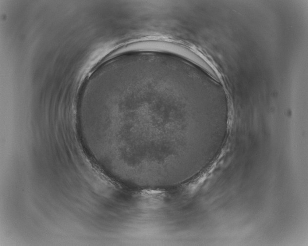 X0000088880055200706081251