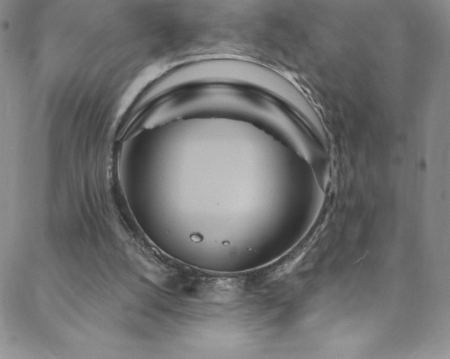 X0000088880056200706081251