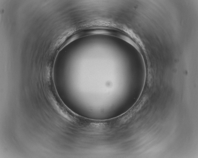 X0000088880057200706081251