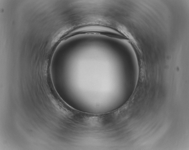 X0000088880058200706081251