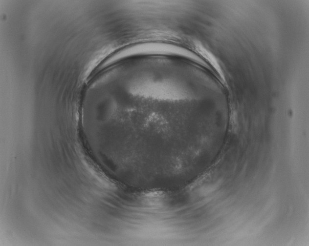 X0000088880059200706081251