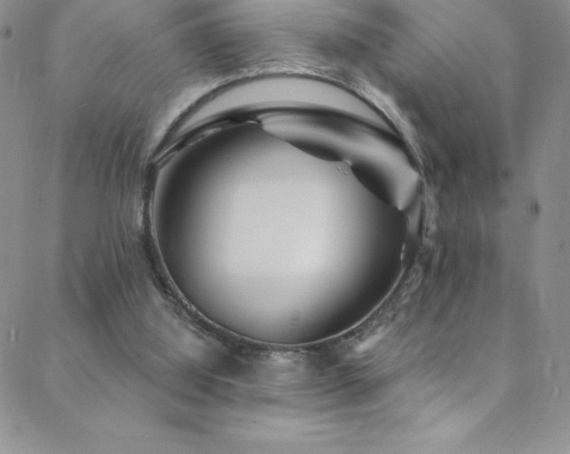 X0000088880060200706081251