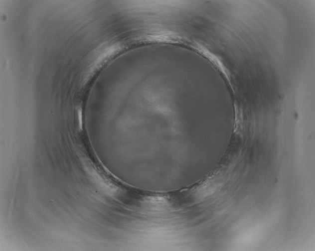 X0000088880061200706081251