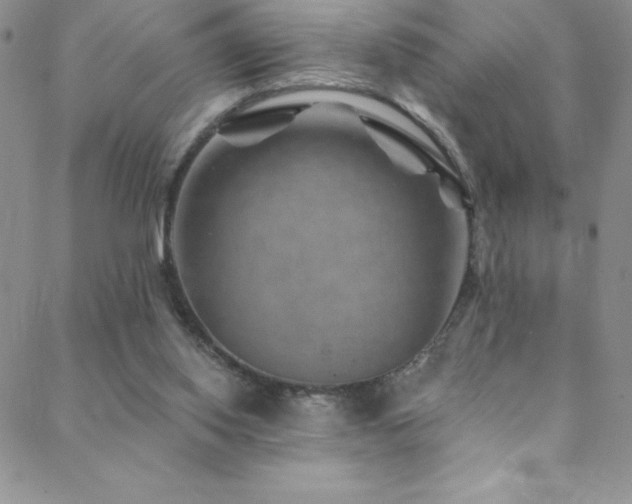 X0000088880062200706081251