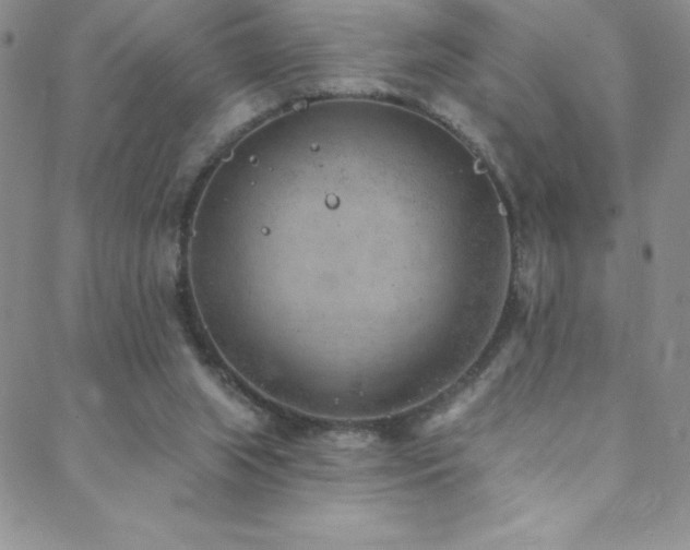 X0000088880063200706081251