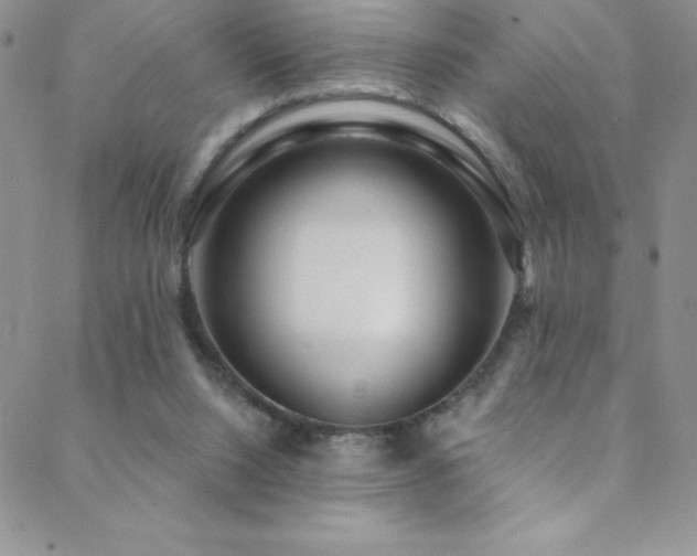 X0000088880064200706081251