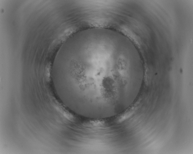 X0000088880065200706081251