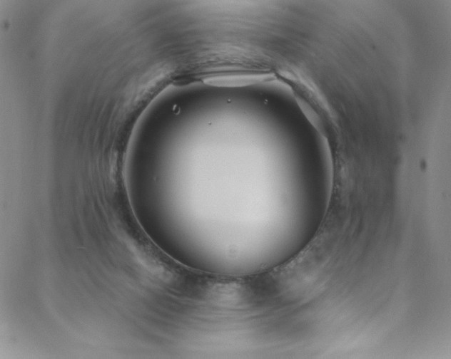 X0000088880066200706081251