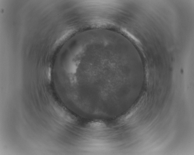 X0000088880067200706081251