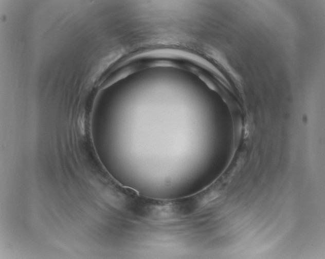 X0000088880068200706081251