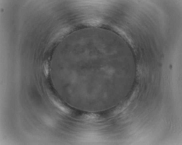 X0000088880069200706081251