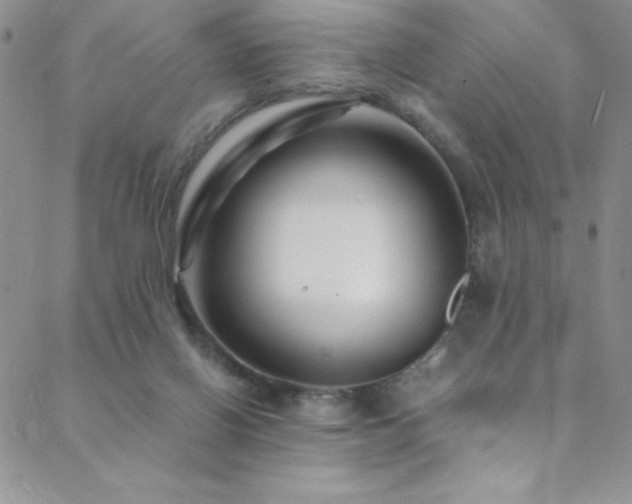 X0000088880070200706081251