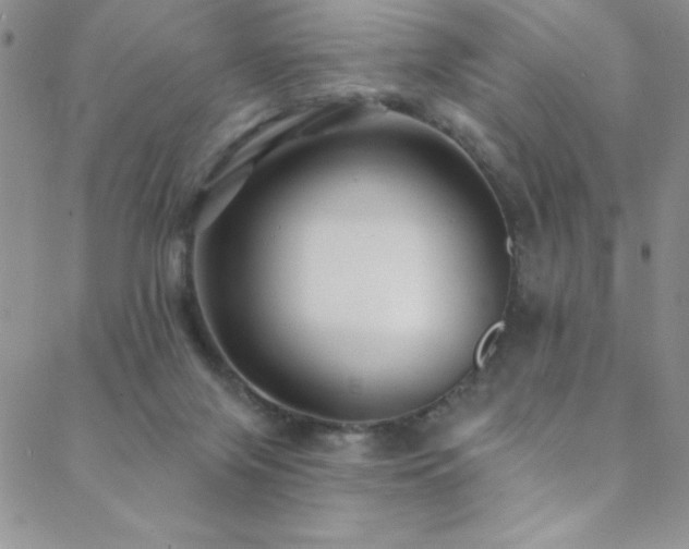 X0000088880071200706081251