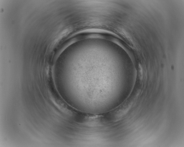 X0000088880072200706081251