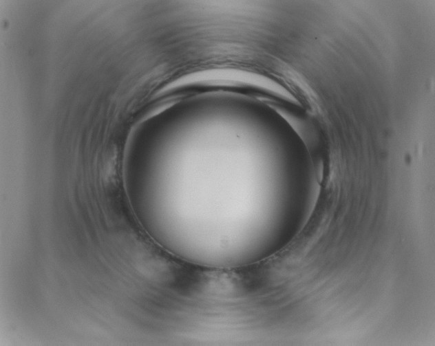 X0000088880073200706081251