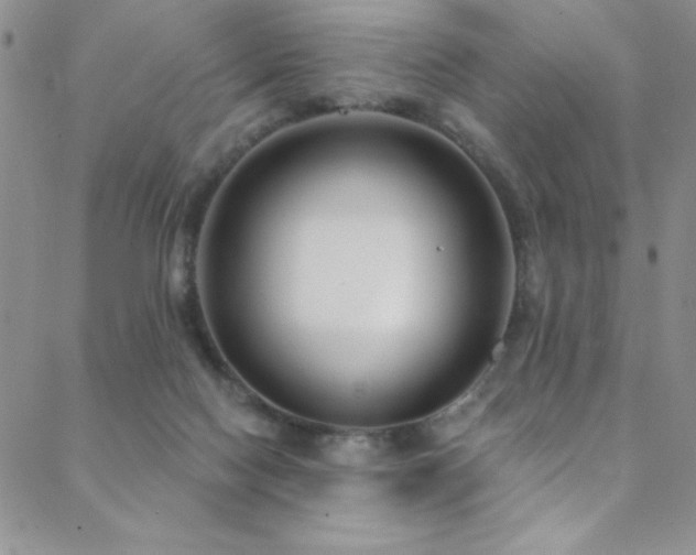 X0000088880074200706081251