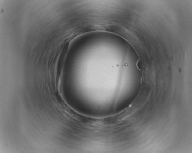 X0000088880075200706081251