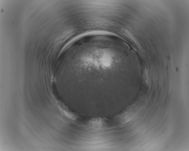 X0000088880076200706081251