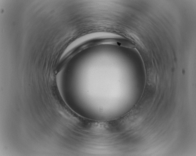 X0000088880077200706081251