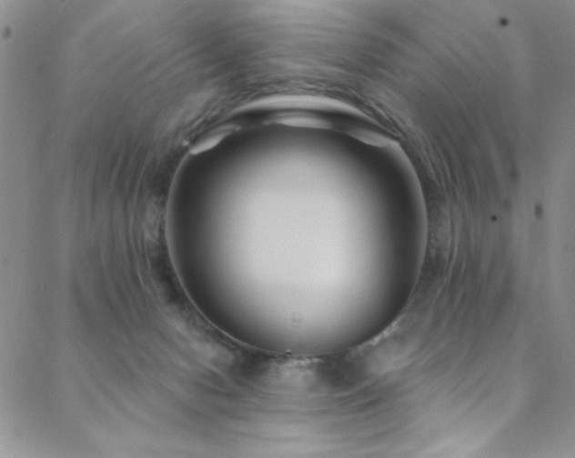 X0000088880078200706081251