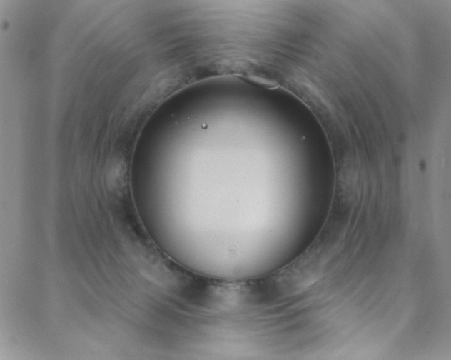 X0000088880079200706081251