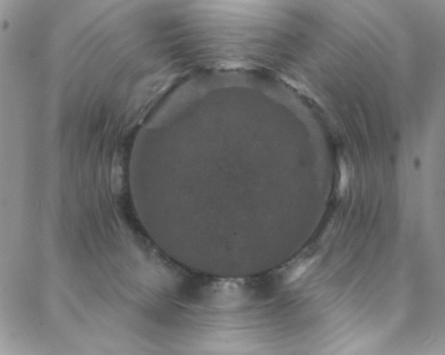 X0000088880080200706081251