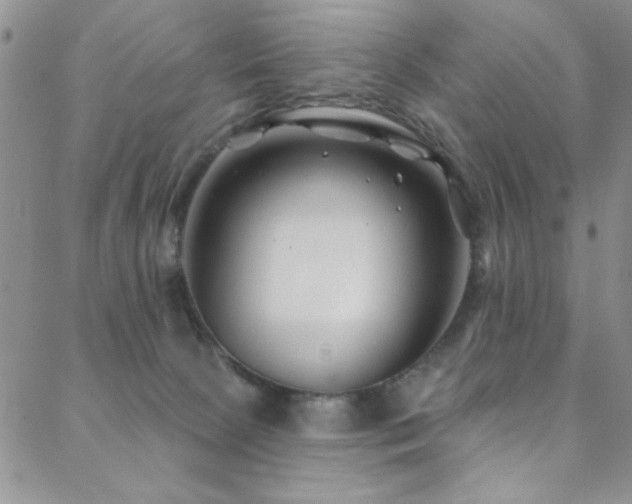 X0000088880081200706081251