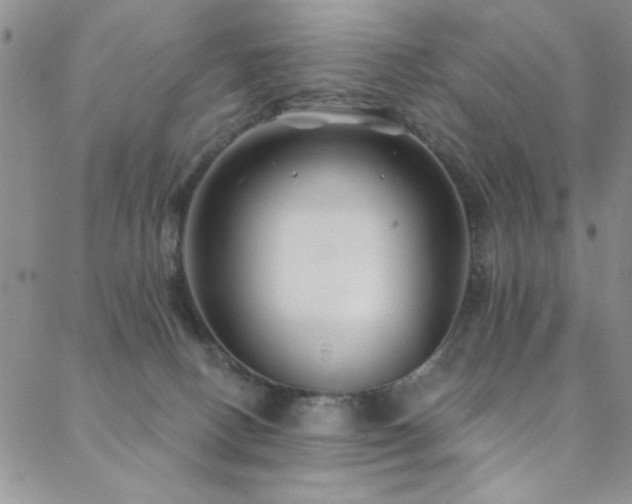 X0000088880082200706081251