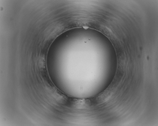 X0000088880083200706081252