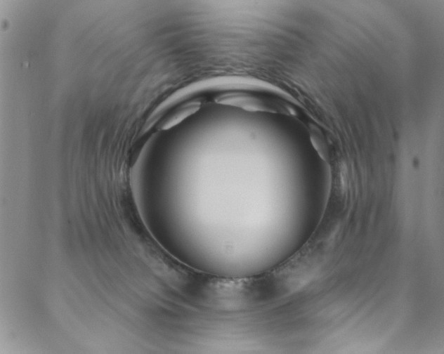 X0000088880084200706081252