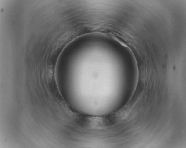 X0000088880085200706081252