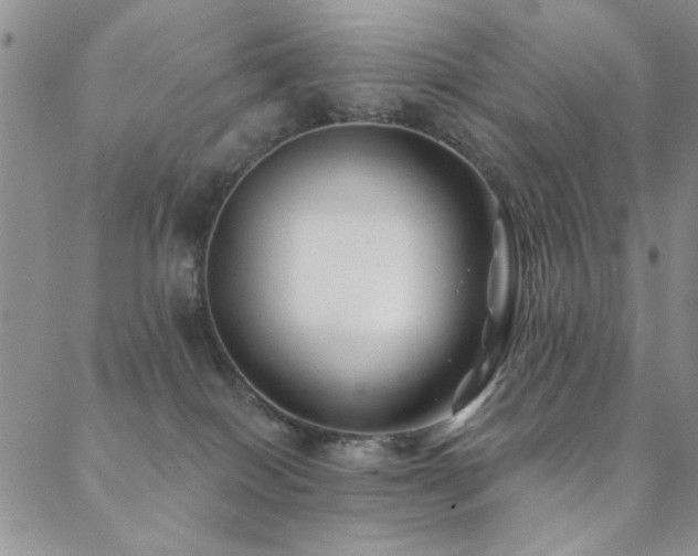 X0000088880086200706081252