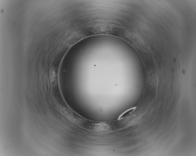 X0000088880087200706081252