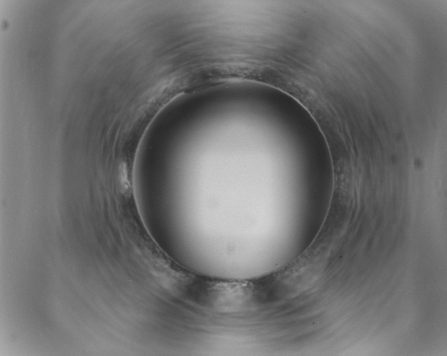 X0000088880089200706081252