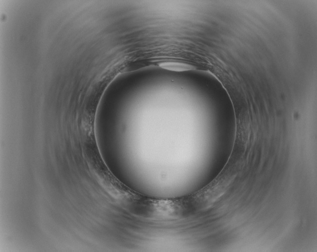 X0000088880091200706081252